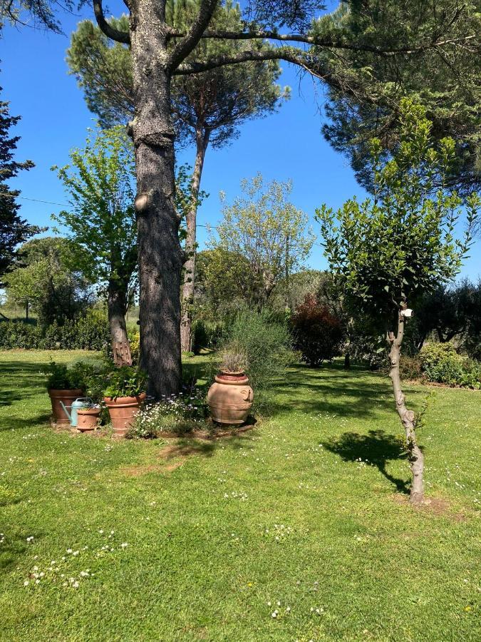 Tenuta Poggio Alla Farnia Fauglia المظهر الخارجي الصورة